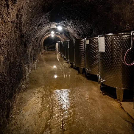 Vinařství Herůfek 3* Zaječí