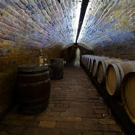 Pensión Vinařství Herůfek 3*