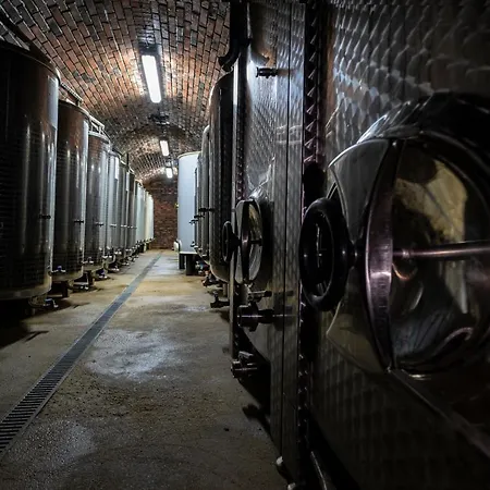 Vinařství Herůfek Pensión Zaječí