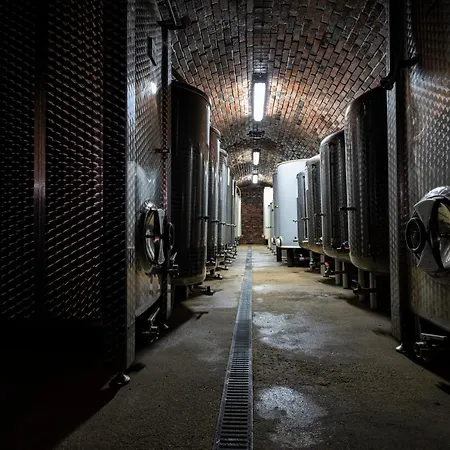 Pensión Vinařství Herůfek Zaječí