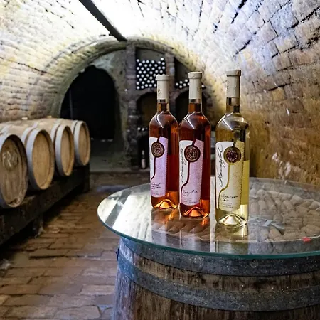 Pensión Vinařství Herůfek