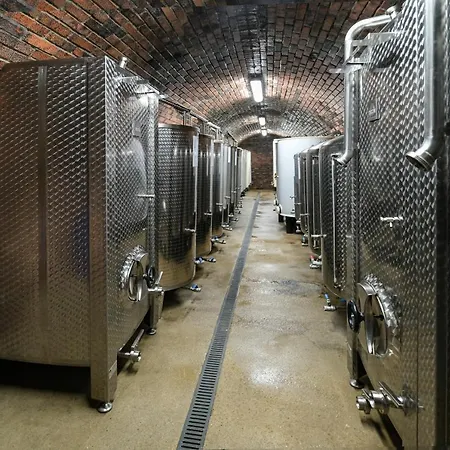 Pensión Vinařství Herůfek Zaječí