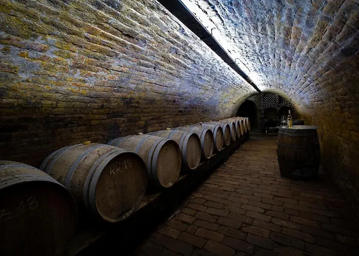 Vinarstvi Herufek Maison d'hôtes
