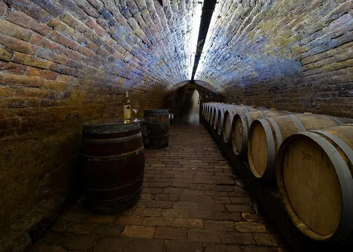 Maison d'hôtes Vinarstvi Herufek 3*