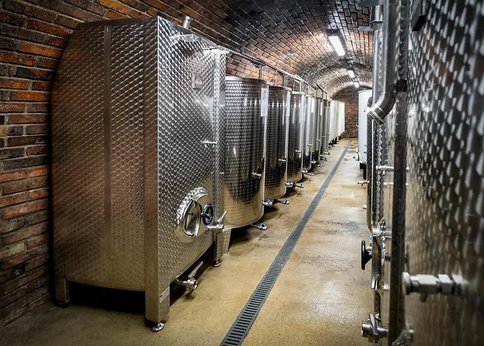 Maison d'hôtes Vinarstvi Herufek 3*