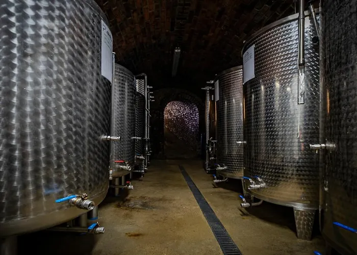 Maison d'hôtes Vinarstvi Herufek