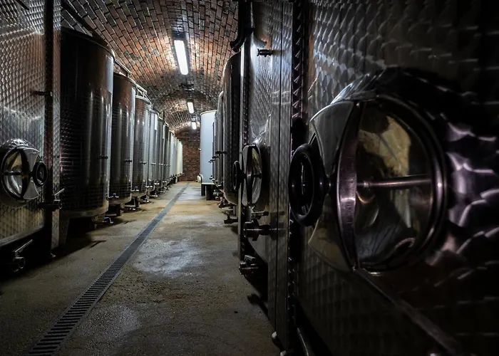 Vinarstvi Herufek Maison d'hôtes Zaječí