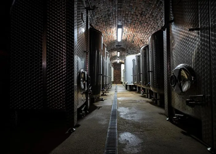 Maison d'hôtes Vinarstvi Herufek Zaječí