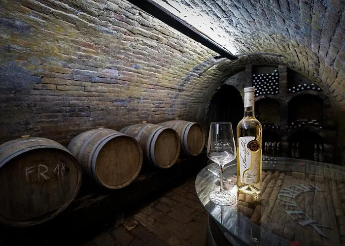 Maison d'hôtes Vinarstvi Herufek Zaječí