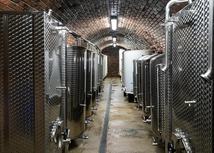 Vinarstvi Herufek Maison d'hôtes