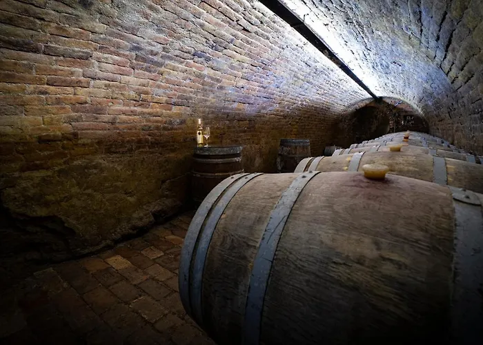 Vinarstvi Herufek Maison d'hôtes Zaječí
