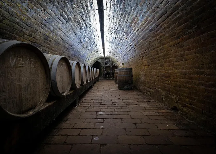 Vinarstvi Herufek Maison d'hôtes 3*