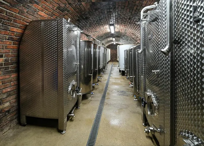 Maison d'hôtes Vinarstvi Herufek Zaječí